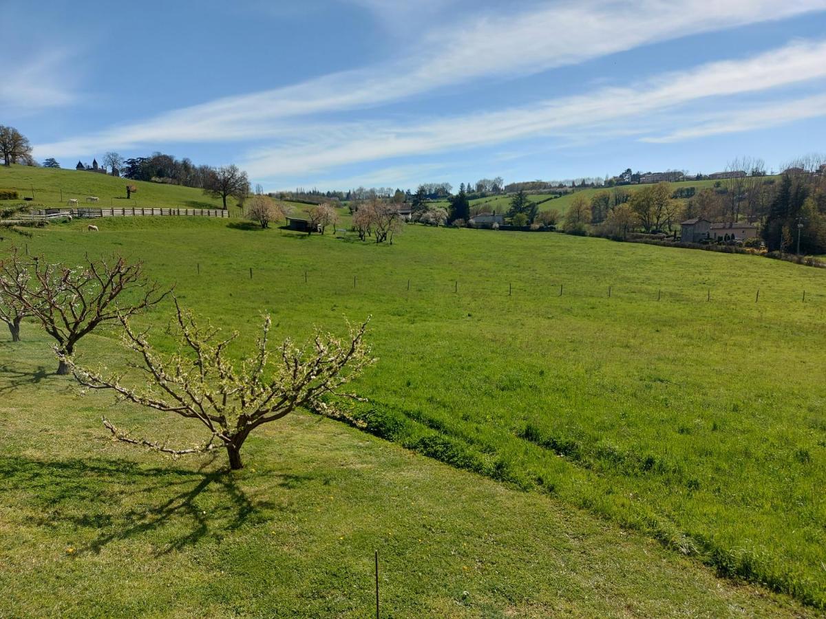 Gite Stone & Spa Chasselay Buitenkant foto