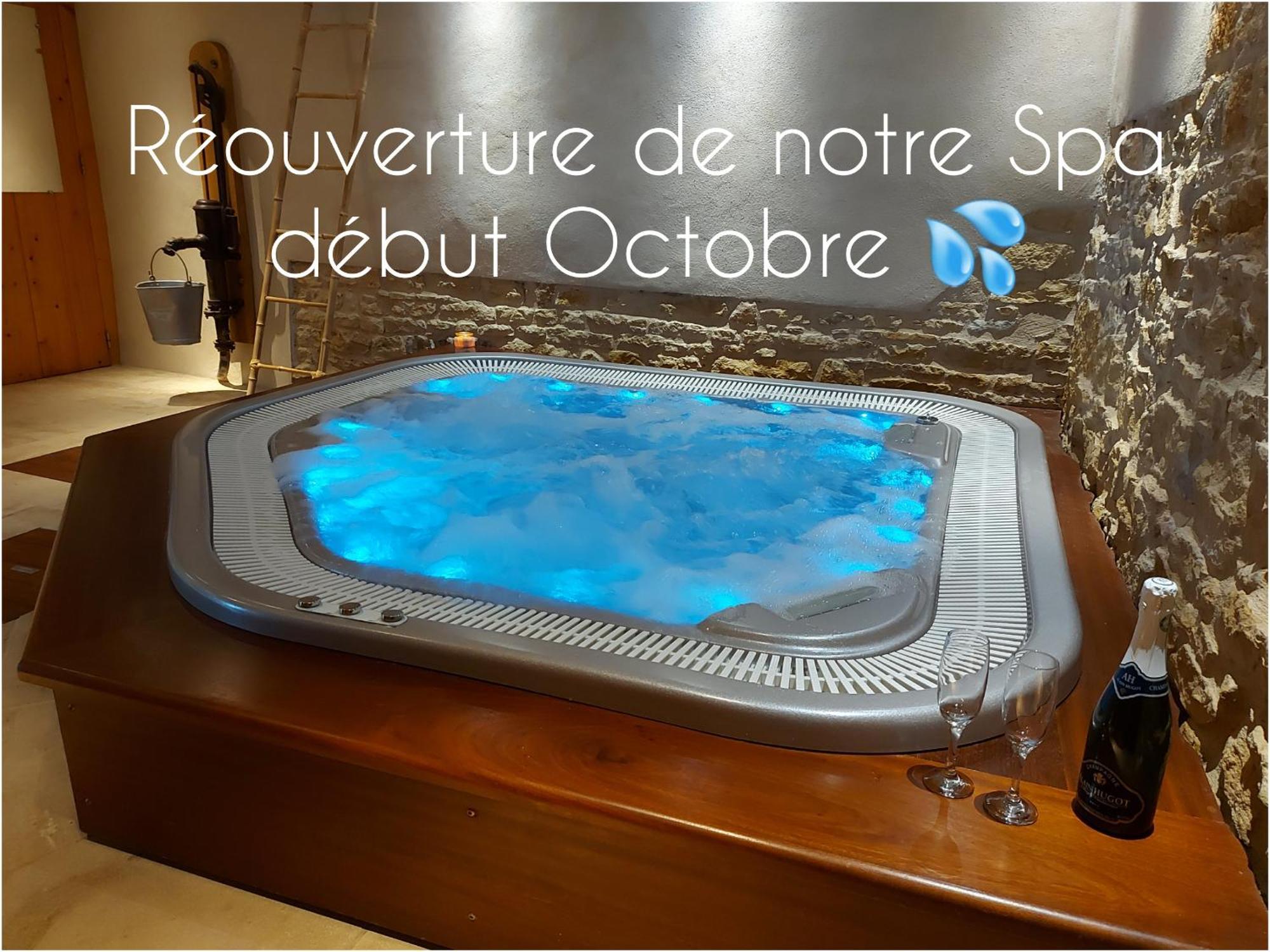 Gite Stone & Spa Chasselay Buitenkant foto